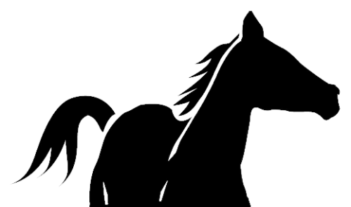 Pferd Pferd